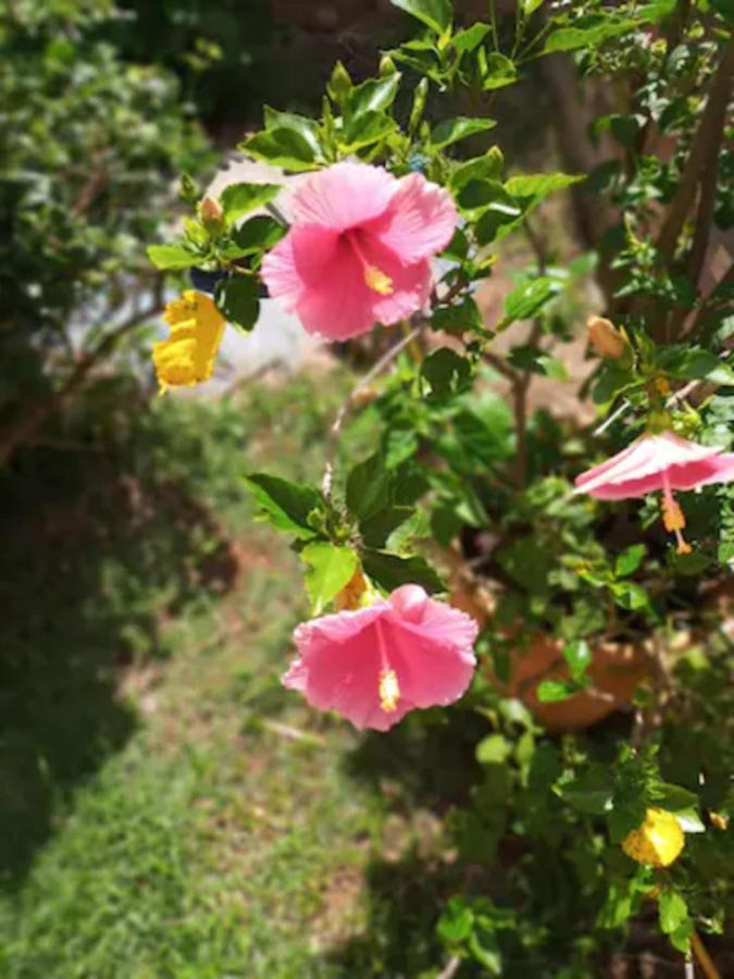 Casa Com Spa De Hidro, Aquecedor E Cromoterapia A 1,0 Km Do Centro Chapada dos Guimarães Εξωτερικό φωτογραφία